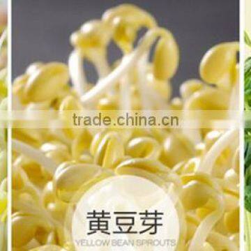Bean Sprout Machine/green Bean Machine/soya Bean Mahcine photo-4