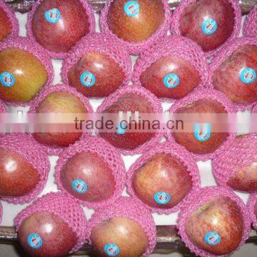 sweet fresh unbagged red qinguan apple 2014