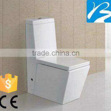 Siphonic P-trap 180mm One Piece Toilet