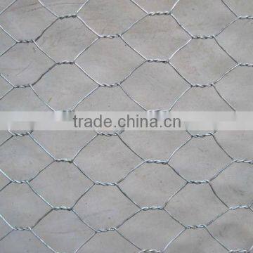 Galvanized hexagonal mesh fence/hexagonal mesh(made in china)