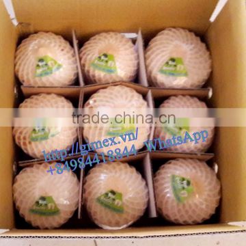 FRESH SWEET COCONUT YOUNG + 84 963818434 whatsapp