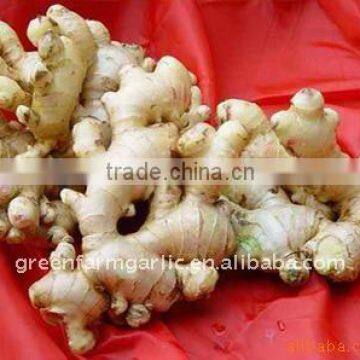 Greenfarm Air-dried Ginger Suppliers