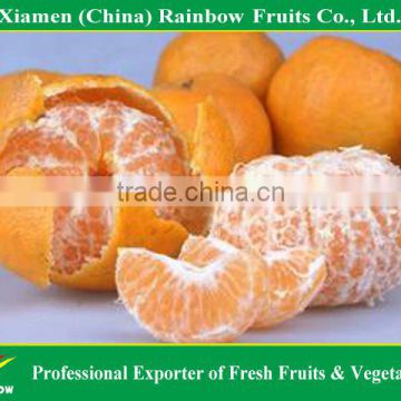 Fresh Chinese Mandarin