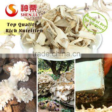 Chestnut Mushroom Grifola Frondosa Cooking to Eat photo-3
