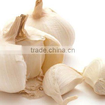 2016 fresh 5.5 natural white garlic