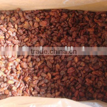 dried red raisin