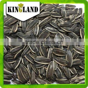 8mm Import Sunflower Seeds