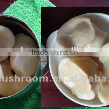 Quality and cheap Canned Baiing Mushroom