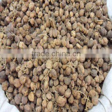 Low Price Amomum Villosum