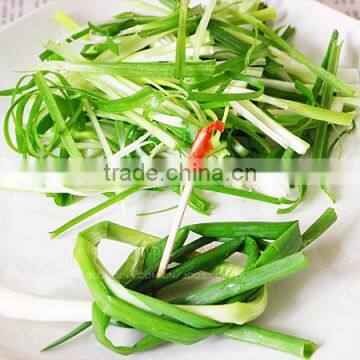 Metal Desk-top Onion Cutter, Vegetable Cutter, Home Use Vegetable Cutting Machine Mob/whatsapp:+86 18281862307 (May Liao) photo-4