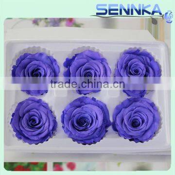 Natural Preserved Fresh Flowers Preserved Roses Wholesale photo-4