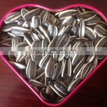 2016 Sunflower Seeds 5009 in High Quality 24/64