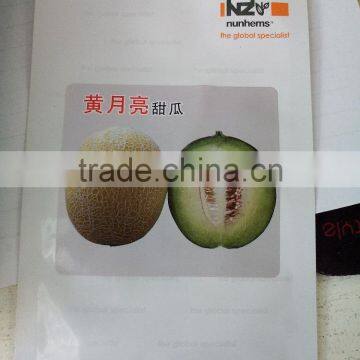 Strong Growth Anti Wilt Disease Melon Seeds Hybrid Melon Seeds Yellow Moon photo-4