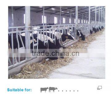 Cattle Farms Cow Head Lock for Locking Animal photo-5