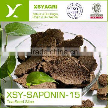 nature Tea Seed Slice From China