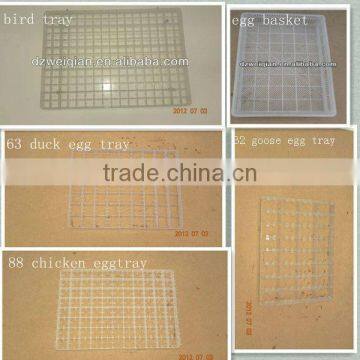 plastic quail egg tray/chicken egg tray