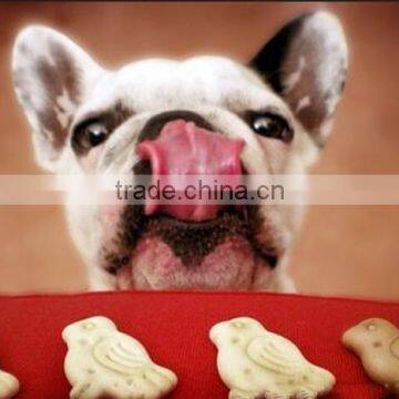 Pellet Food Machine photo-6