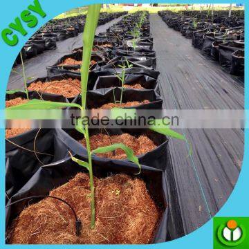 UV Resistant Plastic Plant Pots Bag Wholesale