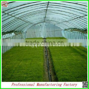 Arched Type Commercial Used Greenhouse for Potatoes for Hot Sale photo-6