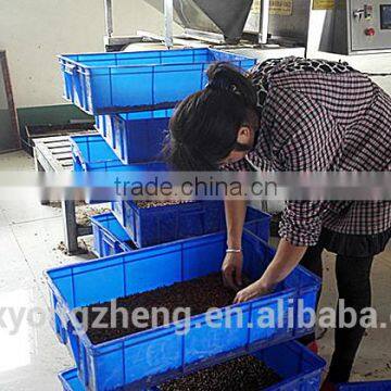 2.8 cm Reptiles Pet Food Dried Mealworms;China Products Dried Mealworms photo-3