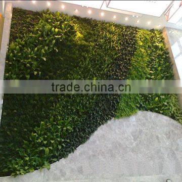 2016 Hot Sale Chinese Goods Wholesale Artificial Grass Wall photo-3