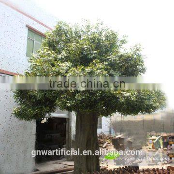 BTR011 GNW 5m High Artificial Ficus Tree for Plaza Decoration photo-2