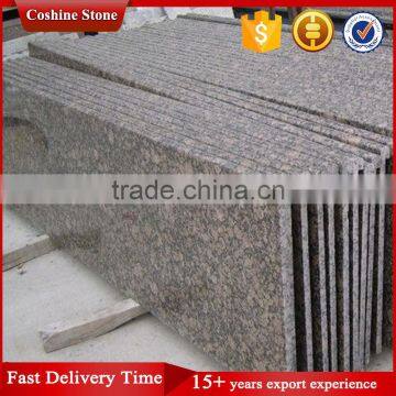 Imported Prefab Bathroom Countertop photo-4