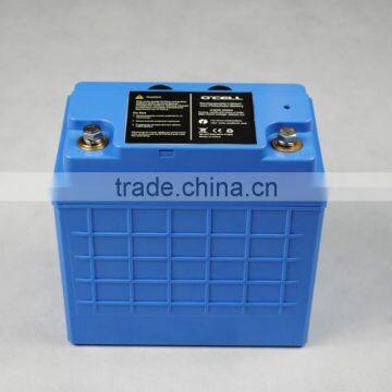 LiFePo4 Battery 24V/ 20Ah