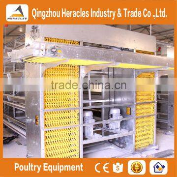 Trade Assurance Automatic Manure Cleaning Layer Polultry Farm Equipment photo-6