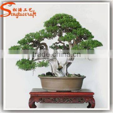 Distinctive Designs a Wide Variety of Artifical Life Size Artificial Decorative Plants and Trees photo-6