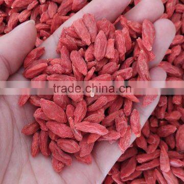 Chinese Red Organic Ningxia Wolfberry With Hight Quality In Varierty Size