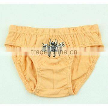 Sex Photo Transparent Underwear Hot Sexy Underwear Boy Pictures photo-5