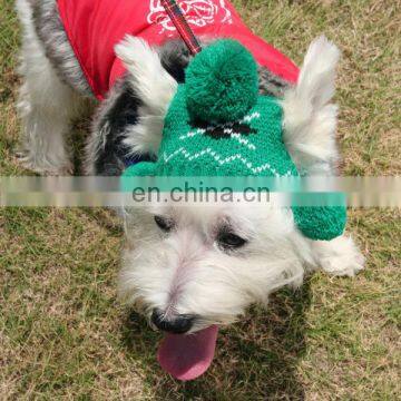 2014 ski plush in winter hat for dog