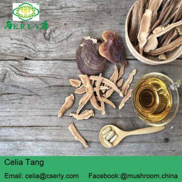 Sliced Reishi Mushroom photo-4