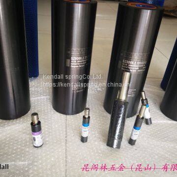 Gas Spring; Bordignon Gas Spring; Gas Spring photo-5