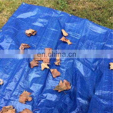 Pe tarpaulin plastic