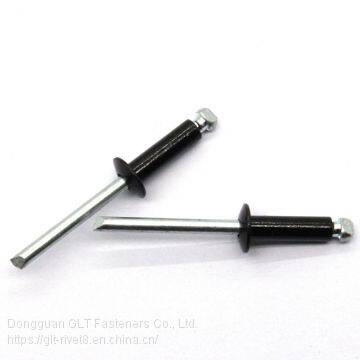 Painted Black Blind Rivets