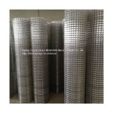 Galvanized Welded Wire Mesh