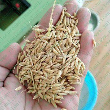 Combined Rice Mill 200kg Per Hour Small Rice Mill Machine photo-4
