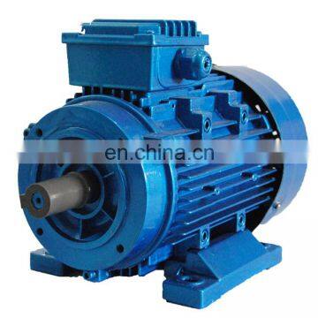 6P 900RPM 3phase ac induction motor 110kw