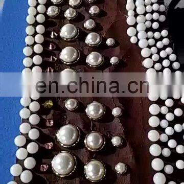 Pearl and Nail Riveting Machine Attaching Nail/ Plastic Pearl/Beads Coating Machine