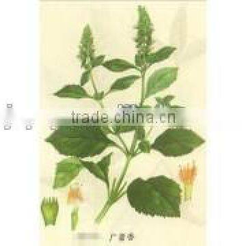 Wholesale Suppliers of Pure Patchouli Essential Oil Herb Oil photo-5