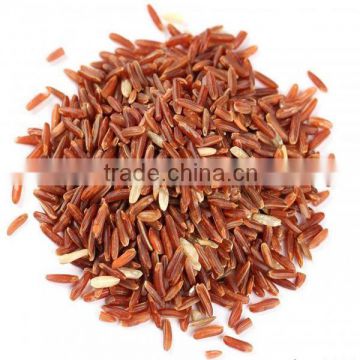 Dietary Supplement Red Yeast Rice Extract Lovastatin