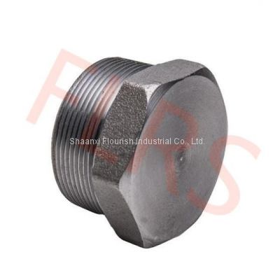 MNPT BSPT Material Threaded Hexagon Head Plug A182 F316 ASME B16.11