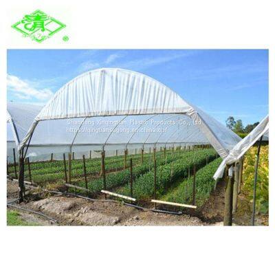 Qingtian Blue High Impact Resistance 200micron Plastic Reinforced Film for Greenhouse Po Film photo-2
