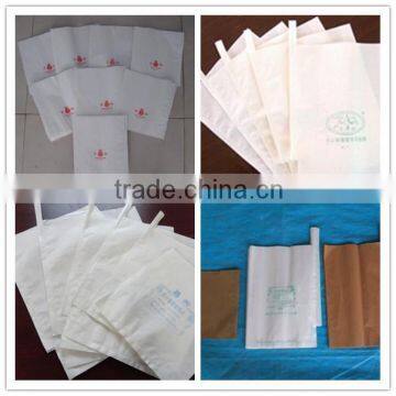 Mango /Grape/Dragon fruit protect bag factory price