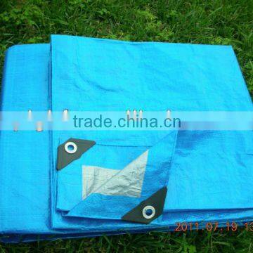 ISO9001 Pe Tarpaulin Canvas With Plastic Corner And Aluminum Eyelet