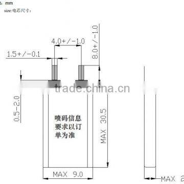 Li-ion Polymer Battery photo-2