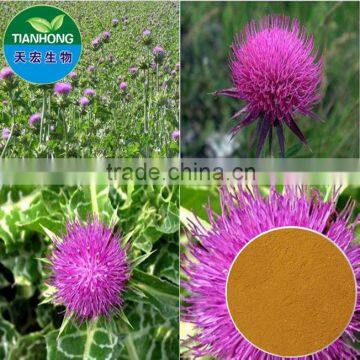 2014 Pure Natural Milk Thistle Extract/Silymarin