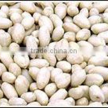 Blanched peanut kernels new crop